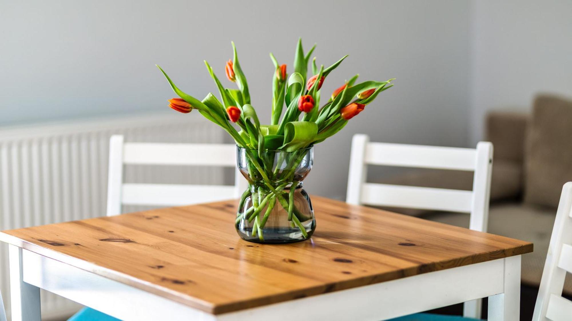 Morskie Apartamenty Przy Plazy Piamola Krynica Morska Luaran gambar
